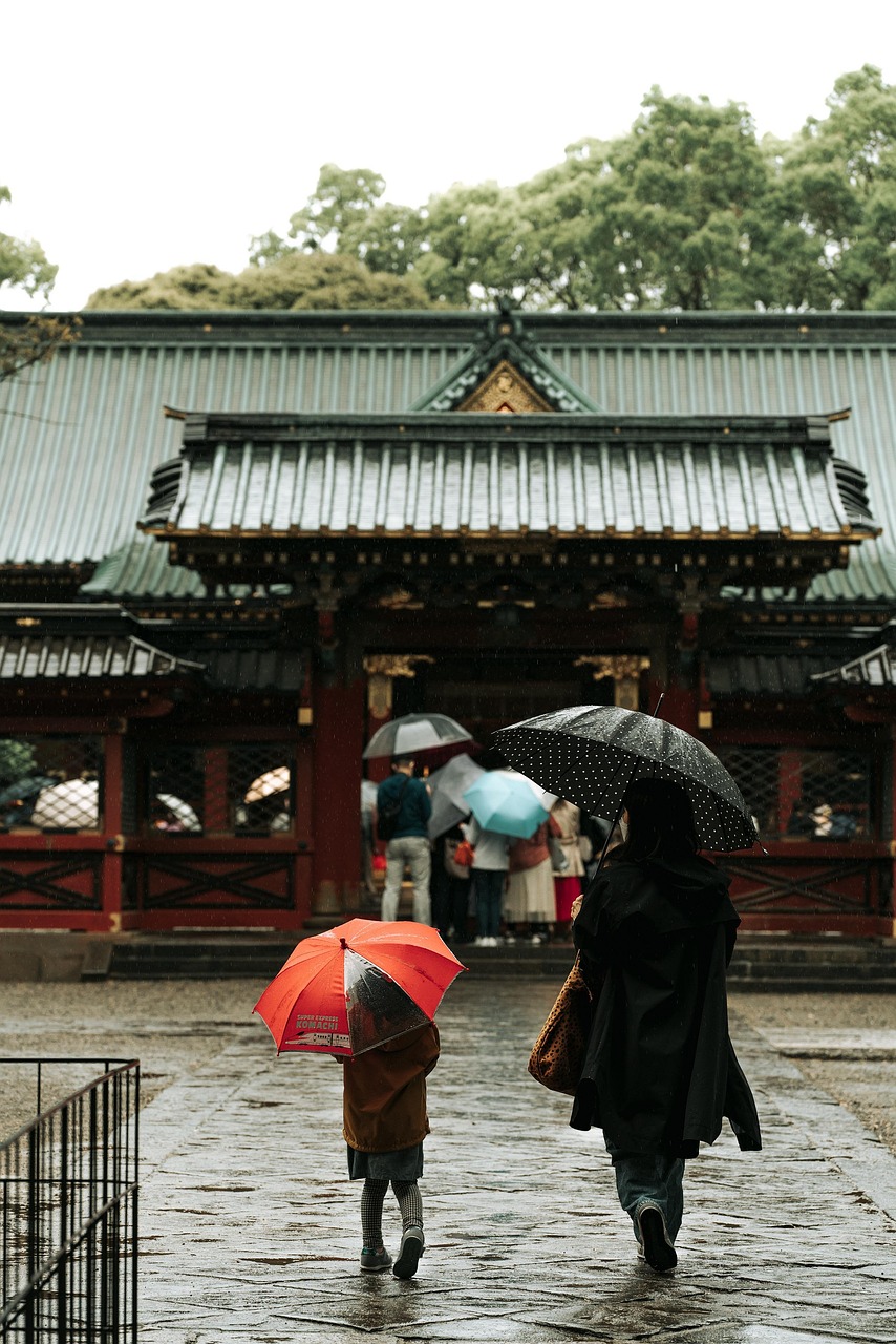 rain, nature, tree, temple, people